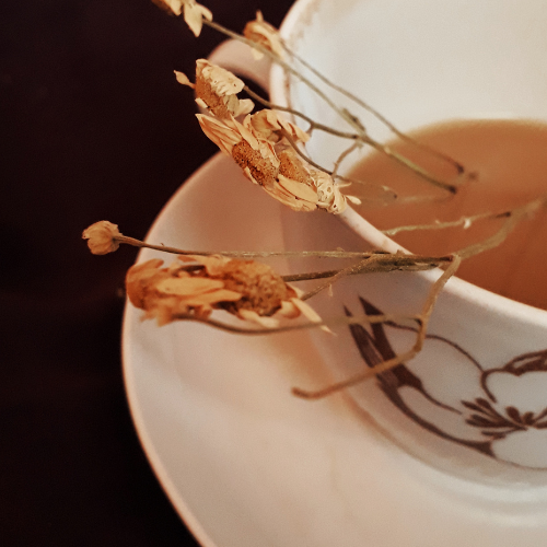 Herbal tea in a ceramic cup steaming gently beside a window, capturing a quiet slow living moment.